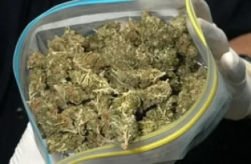 Криминалисти от Кърджали намериха и иззеха 1,7 кг марихуана