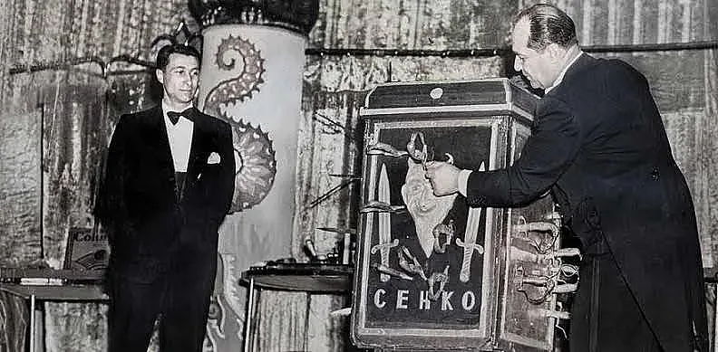 ДС разработва Мистер Сенко, въпреки че е приятел на Тато