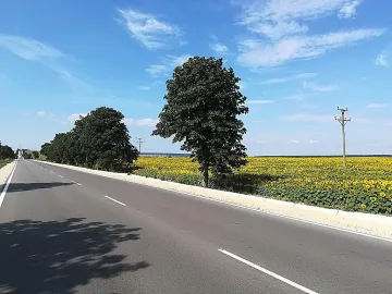 Създават агенция за безопасност по пътищата