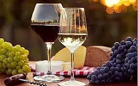 Цар на виното избират в Раковски