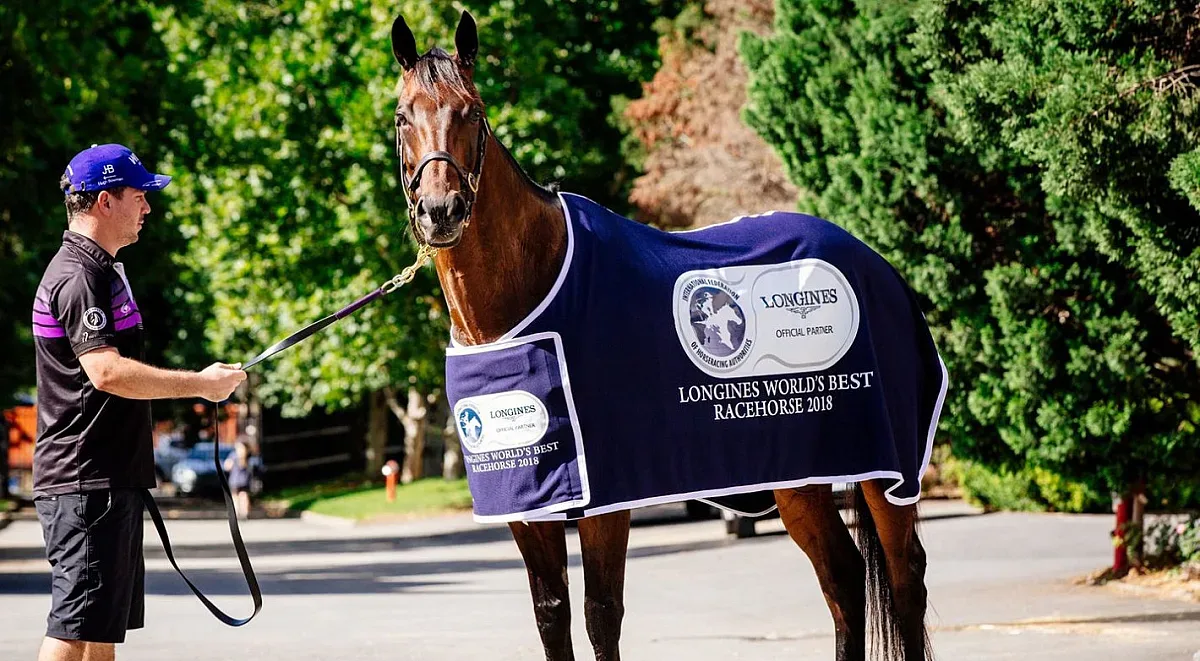 Австралиец на годината е… конят Уинкс