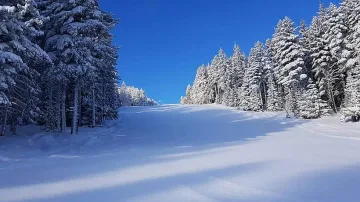 Времето днес: Зима в Северозападна България и пролет - в Източна