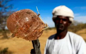 Проблем с важна хранителна съставка. Какво ще правят мултикомпаниите