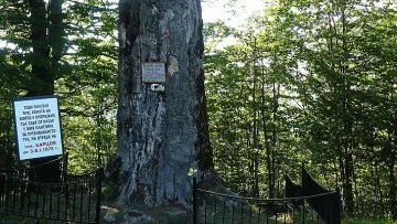 Надежда ще бъде "зелен коридор" на София