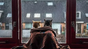 Облачно ще е днес, след обяд започват валежи