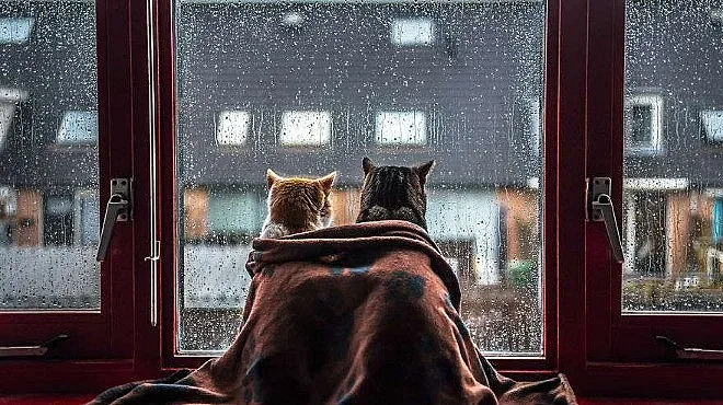 Облачно ще е днес, след обяд започват валежи