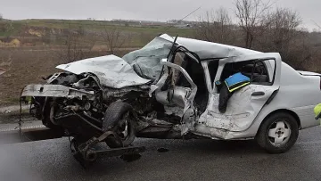 Три пъти на червено и оставаш без книжка за цял живот