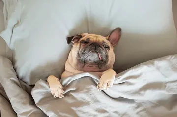 Спете по гръб за качествена почивка