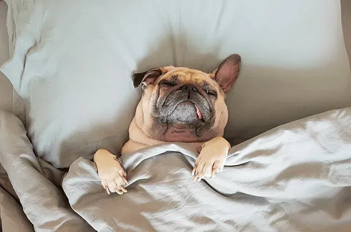 Спете по гръб за качествена почивка