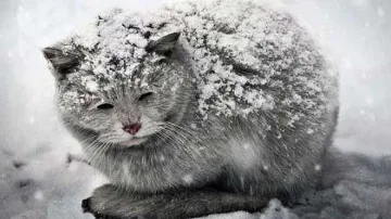 Минус 19 градуса бе в Кнежа тази сутрин