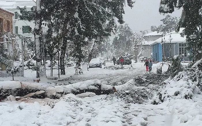 МВнР: Сложна пътна обстановка в Северна Гърция