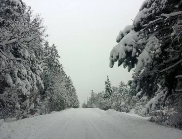 ЛЕДЕН ЯНУАРИ: Прогнози за температури до -20 градуса