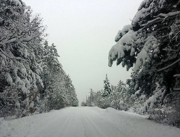 ЛЕДЕН ЯНУАРИ: Прогнози за температури до -20 градуса