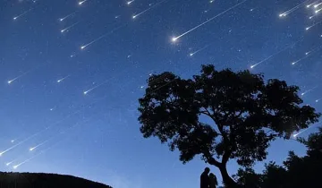 До 100 звезди на час падат в нощта срещу петък