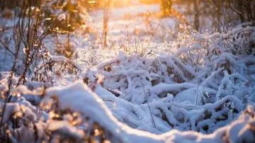 Слънце  през първия ден от годината