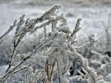 До минус 20 през януари