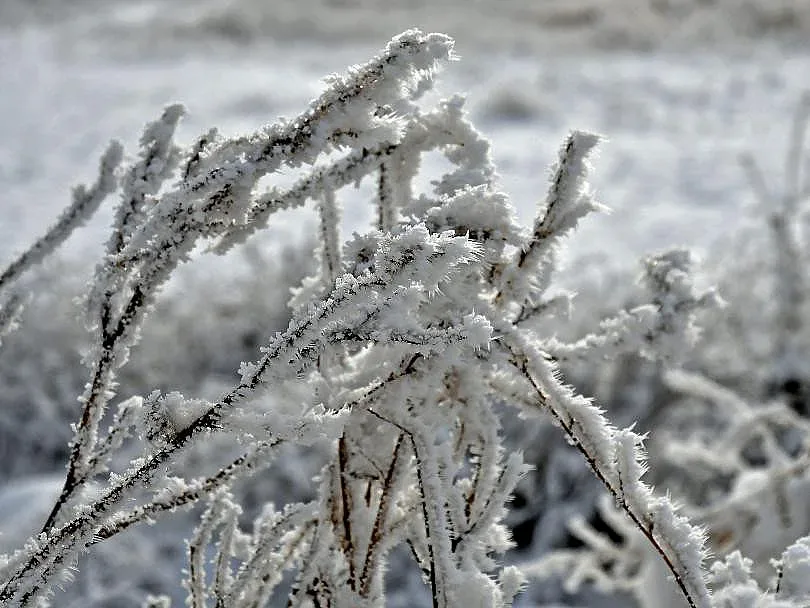 До минус 20 през януари