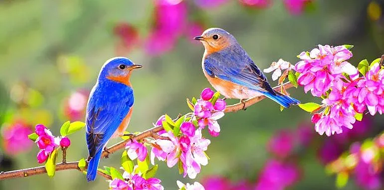 Разкошно време, но през уикенда идва обрат