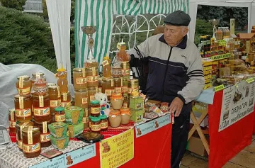 Пчеларите кандидтстват с проекти от 7 януари