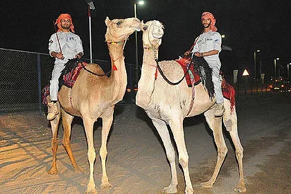 Полицаите в Абу Даби яхнаха камили