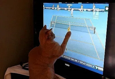 Спортът по тв за 11 декември