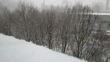 Общината: Опесъчени са пътищата във Витоша