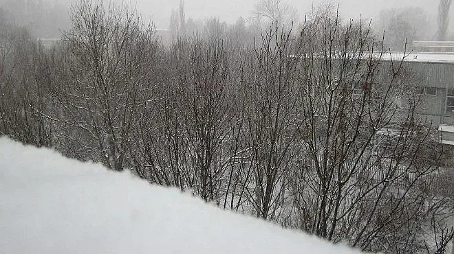 Общината: Опесъчени са пътищата във Витоша