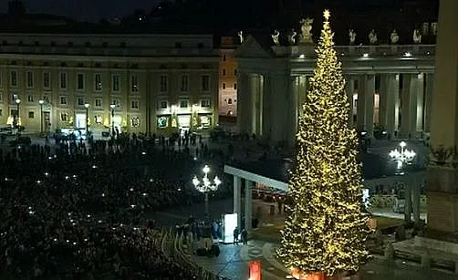 23-метрова елха грейна на площад "Свети Петър"