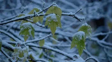 Вижте времето за днес