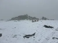 Задействаха системата BG-ALERT за Витоша!