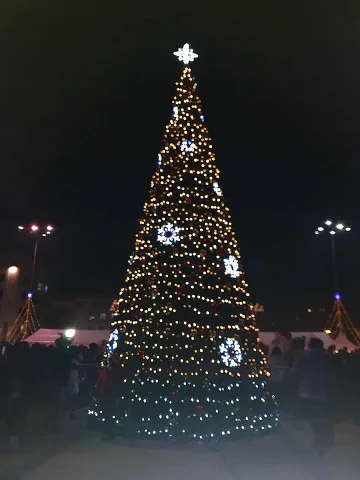 Светва коледната елха в Ловеч