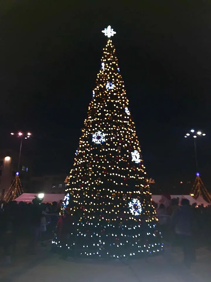 Светва коледната елха в Ловеч