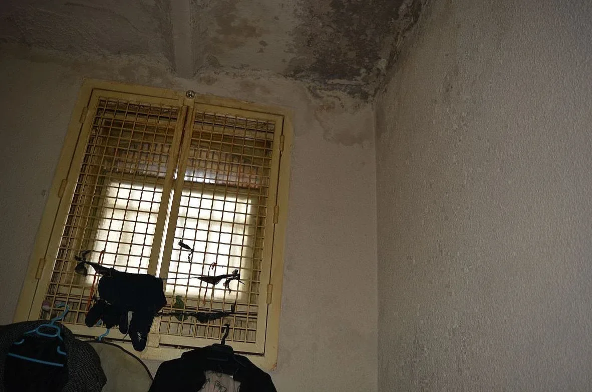 Адвокат критикува следствените арести