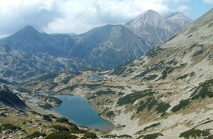 Пътеките в парк “Пирин” ще бъдат обновени
