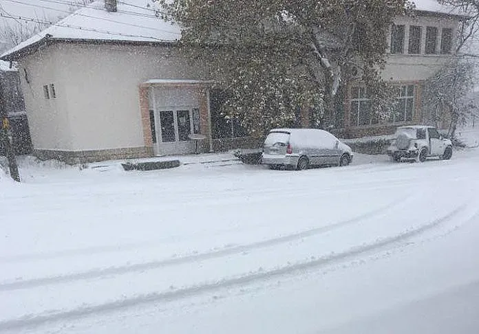 Заради снега Тръстеник остава без хляб