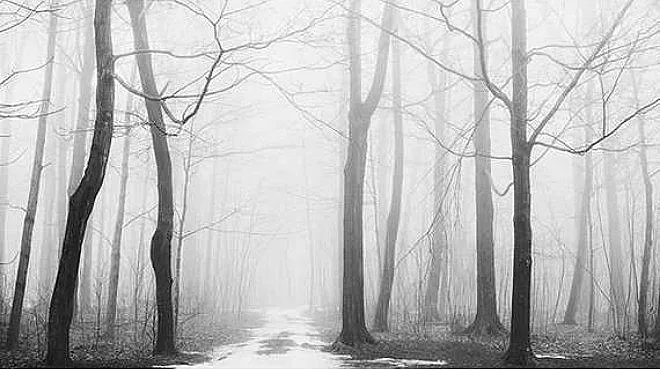 Откриха двамата изгубени в гората край Поморие