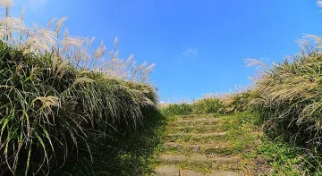 Три екопътеки ще облагороди община Берковица