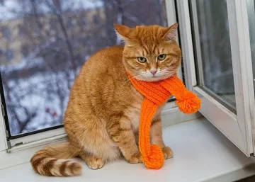 Синоптици: Температурите ще падат през деня