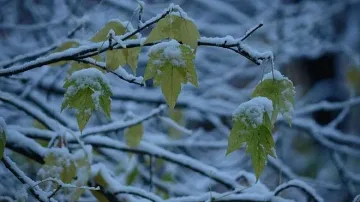 Снегът се завръща - ето кога и къде