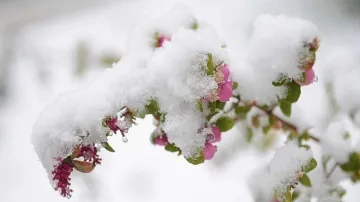 Студът идва окончателно! Вижте кога ще завали сняг