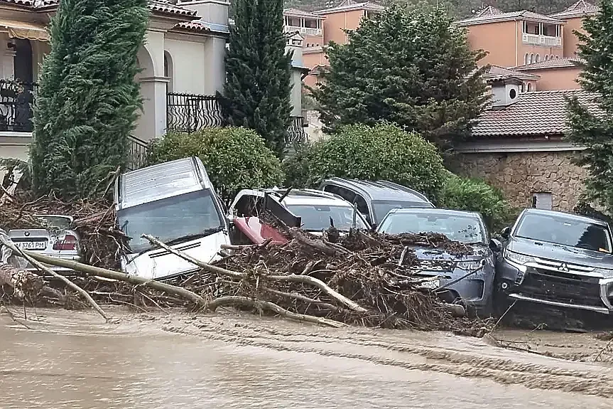 Нечувана безчовечност! Мародери в Елените