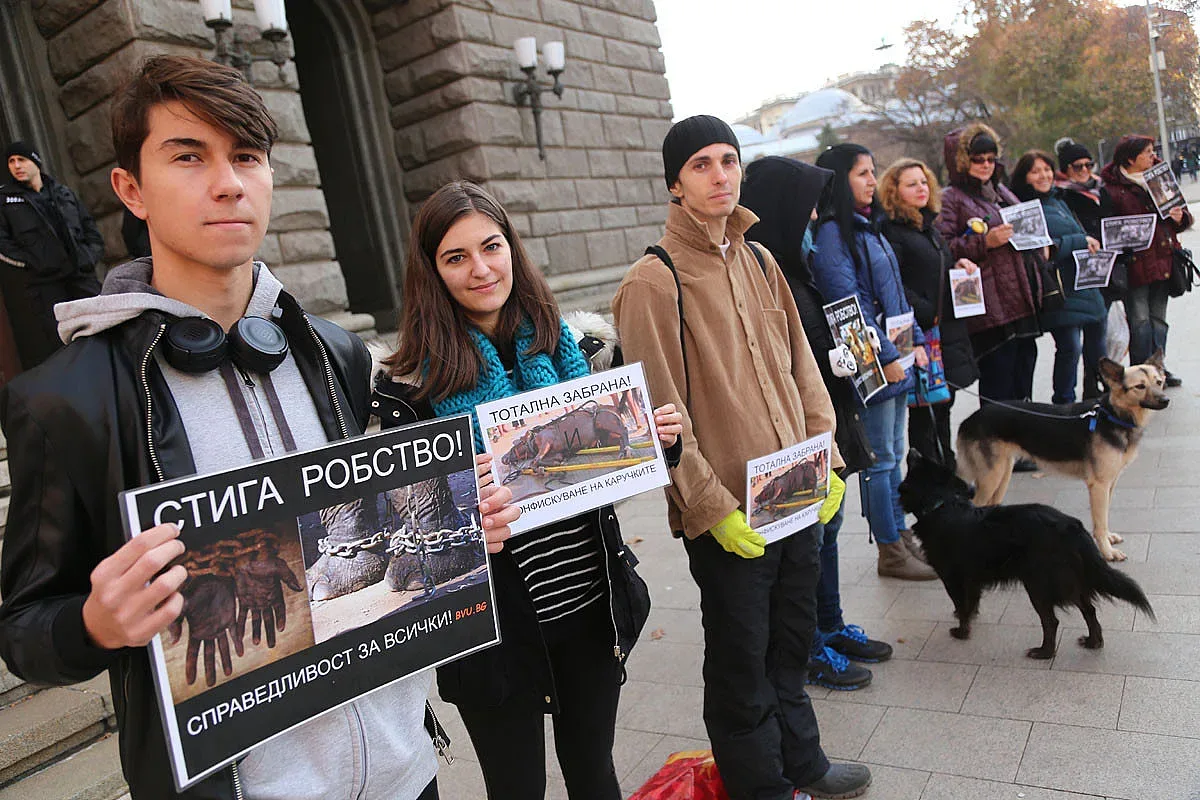 Вегани и протестанти на протест (ОБЗОР)