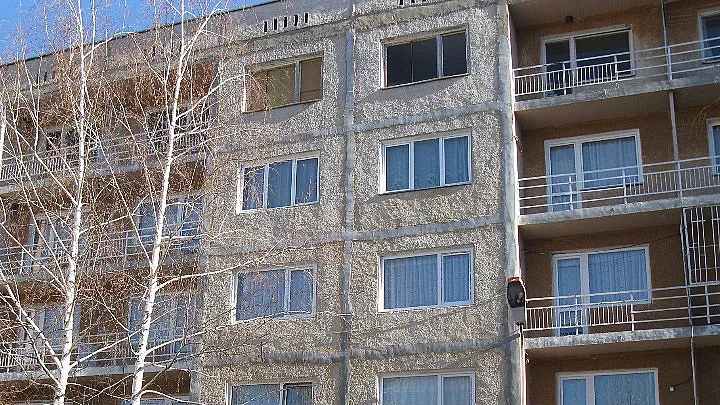 Застрахователи зарадваха сираци за Коледа