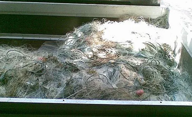 Над 1 км  бpaĸoниepcĸи мрежи  плениха в яз. Ястребино