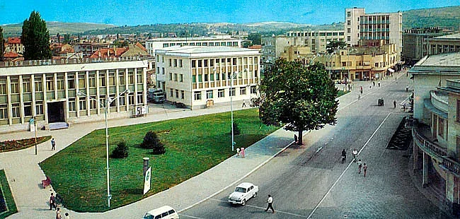 Президентска република с двукамерен парламент, поискаха силистренци