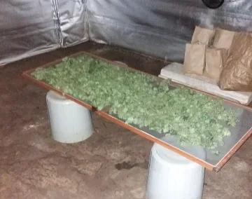 Семейство си спретнало цех за марихуана в с. Мулдава