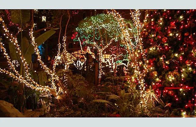 Конкурс за коледна украса обяви Димитровград