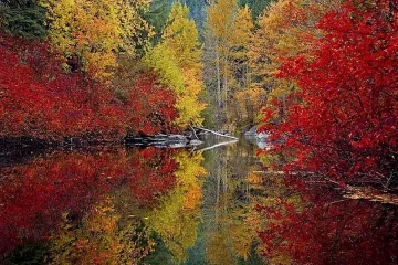 От минус 7 до 25 градуса - какво време ни очаква през ноември?