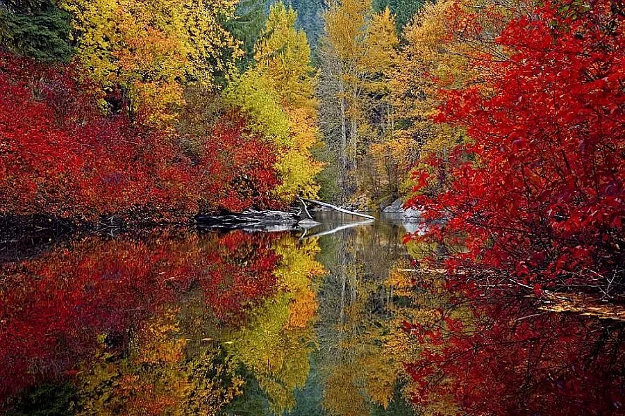 От минус 7 до 25 градуса - какво време ни очаква през ноември?