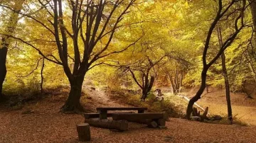 И днес остава по-топло от обичайното